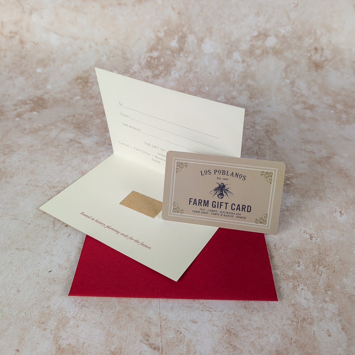 Gift Card and Envelope Kit