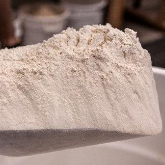 Sonora Wheat Flour - SIFTED