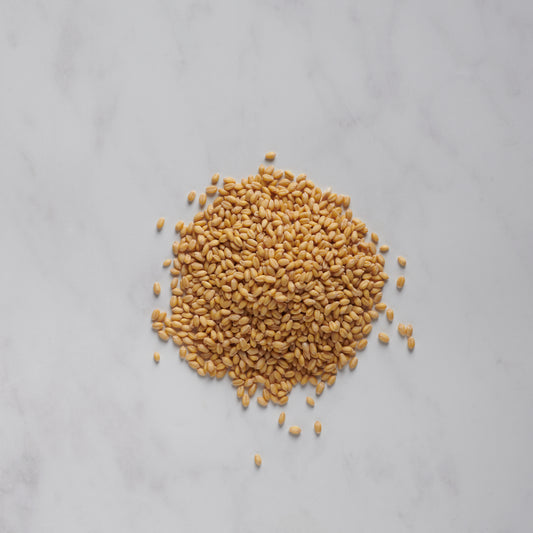 Sonora Wheat Berries - 50 lbs Bulk