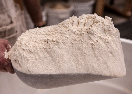 Sonora Wheat Flour - SIFTED